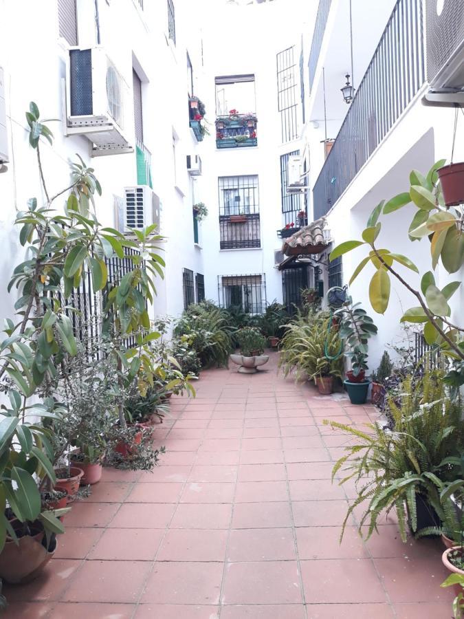 Apartamento Pleno Centro Wallada 코르도바 외부 사진